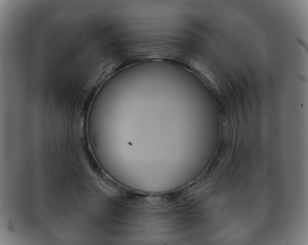 X0000091910406200709051215