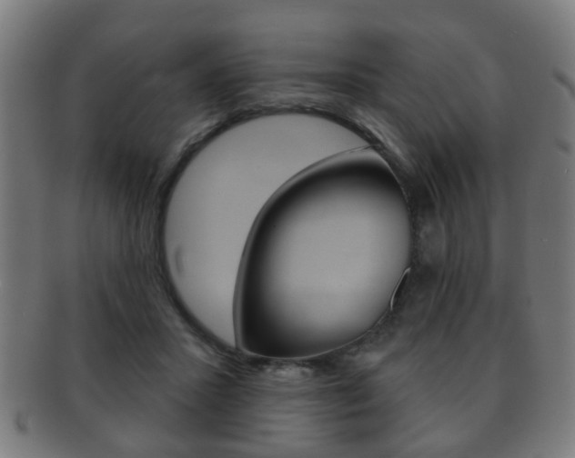 X0000091910407200709051215