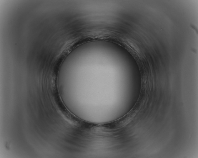 X0000091910408200709051215