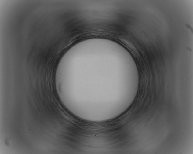 X0000091910409200709051215