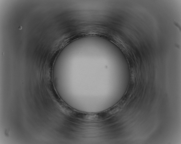 X0000091910410200709051215