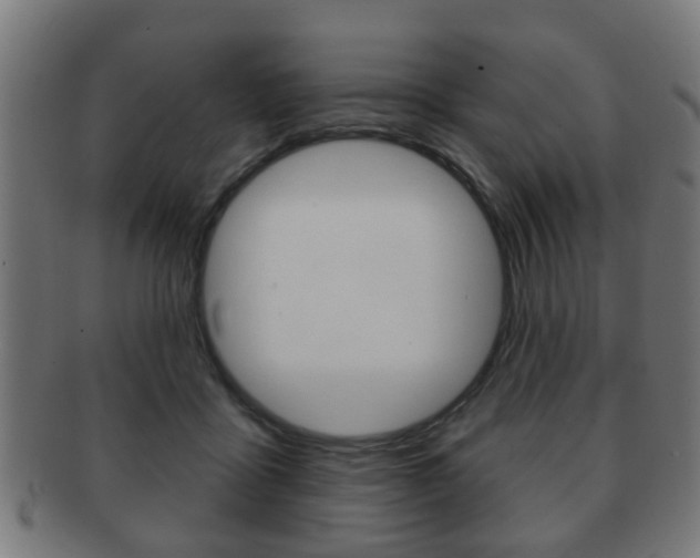 X0000091910411200709051215