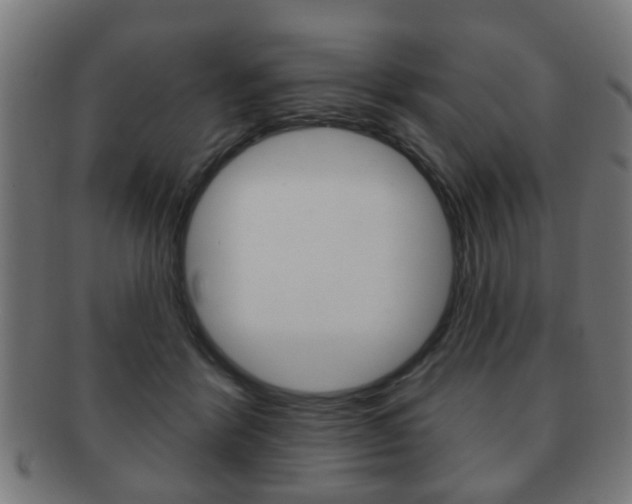 X0000091910412200709051215