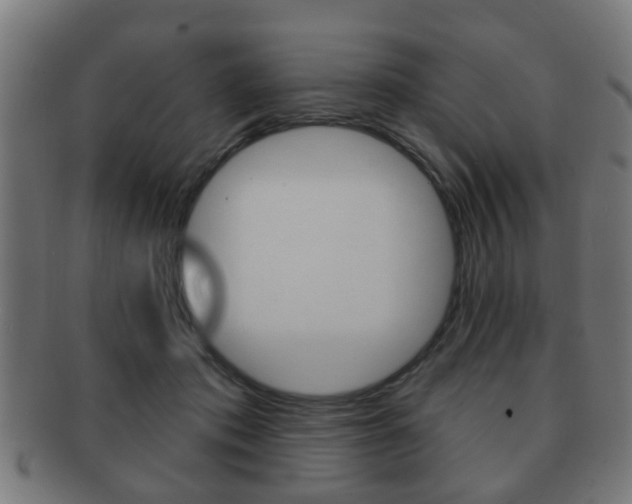 X0000091910413200709051215