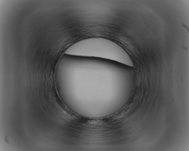 X0000091910414200709051215