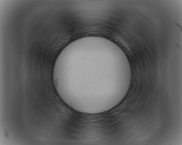 X0000091910417200709051215