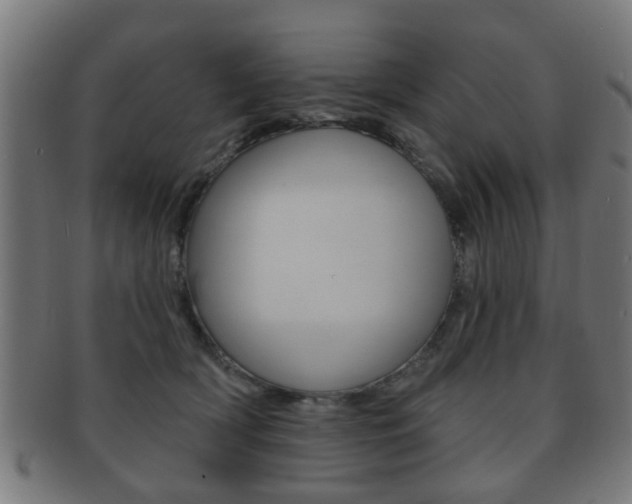 X0000091910418200709051215