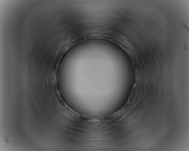 X0000091910419200709051215