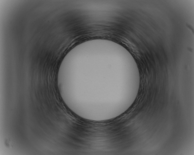 X0000091910421200709051215