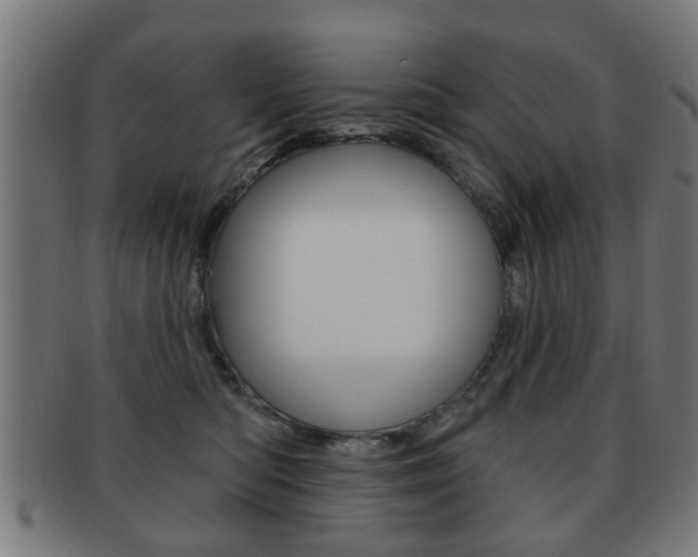 X0000091910422200709051215
