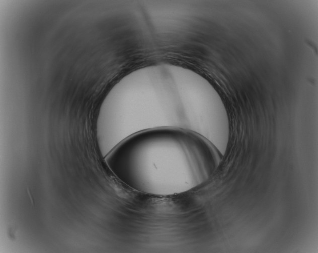 X0000091910424200709051215