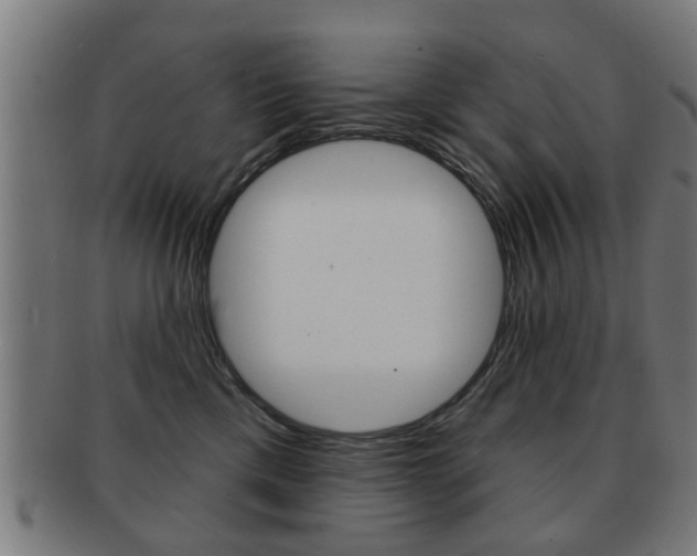 X0000091910425200709051215