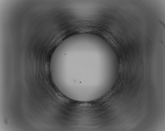 X0000091910426200709051215