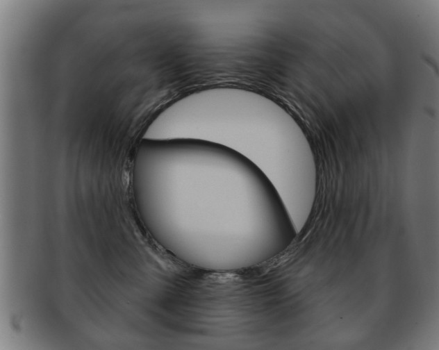 X0000091910427200709051215