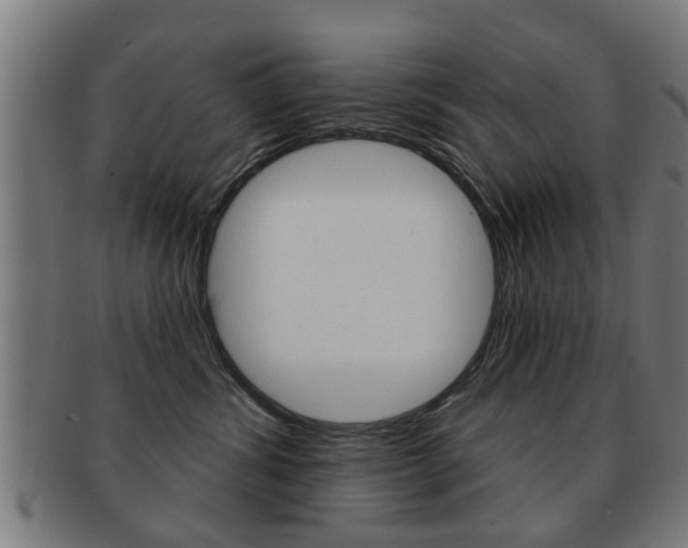 X0000091910428200709051215