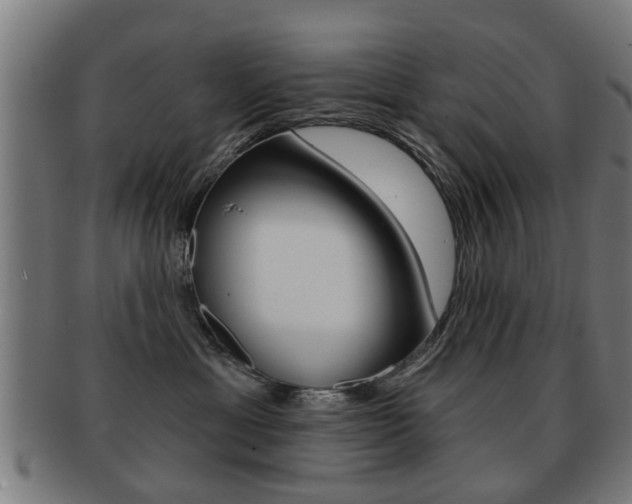 X0000091910429200709051215