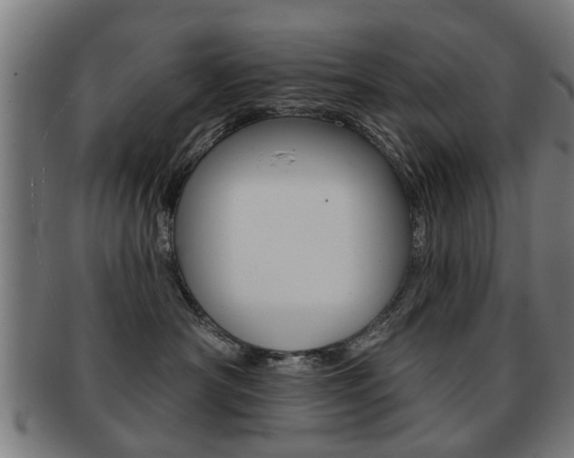 X0000091910430200709051215
