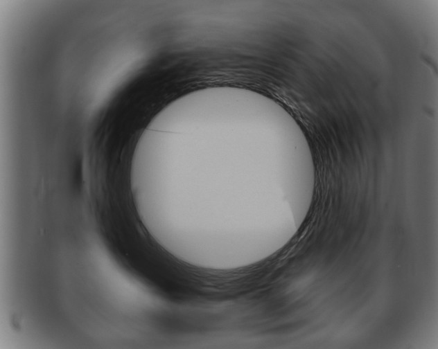 X0000091910431200709051215