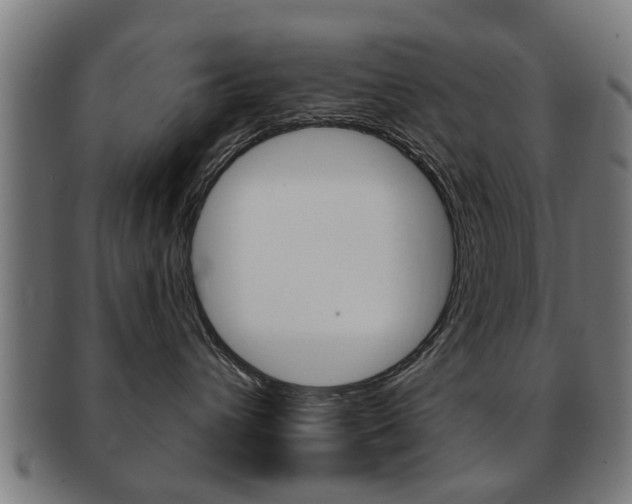 X0000091910432200709051215