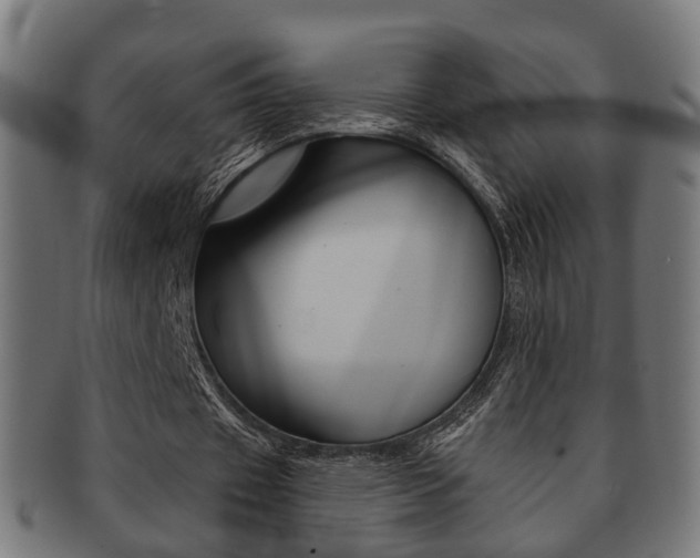 X0000091910433200709051214