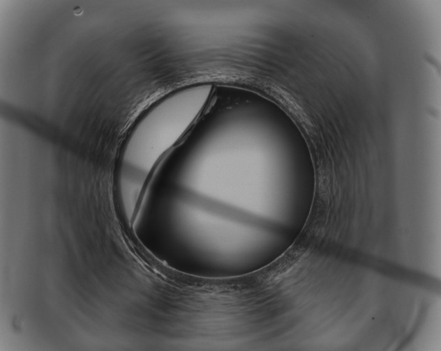 X0000091910434200709051214