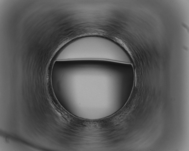 X0000091910435200709051214