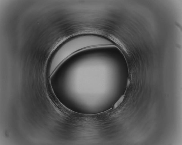 X0000091910436200709051215