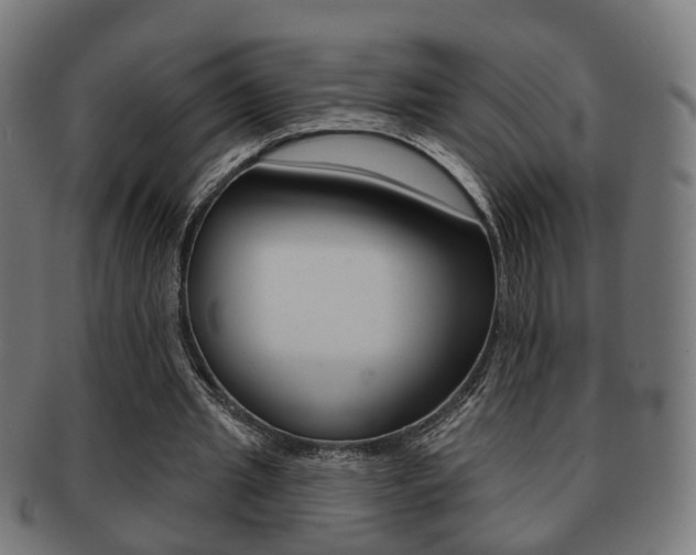 X0000091910437200709051215