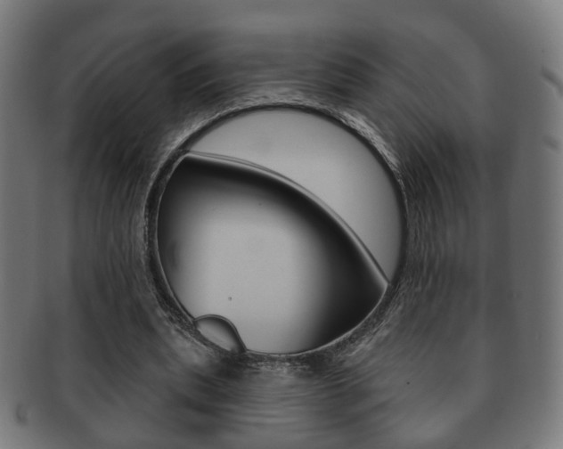 X0000091910439200709051215