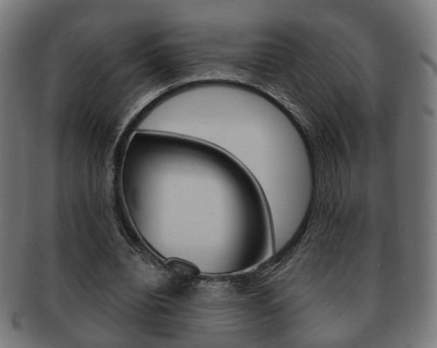 X0000091910440200709051215