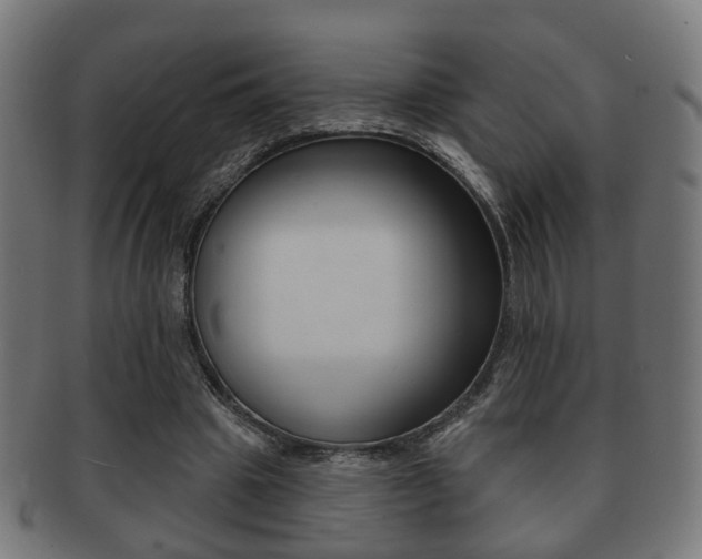 X0000091910441200709051215