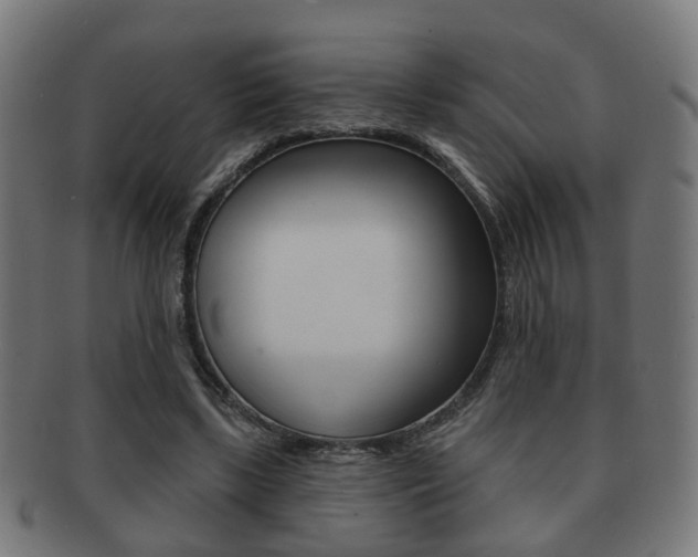 X0000091910443200709051215