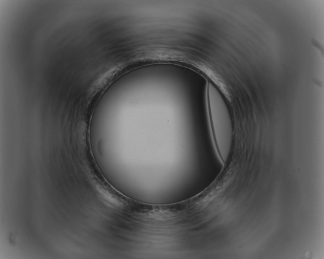 X0000091910445200709051215