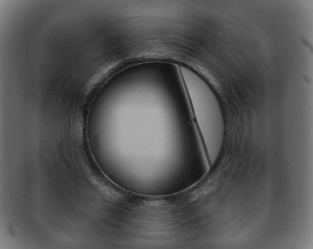 X0000091910446200709051215