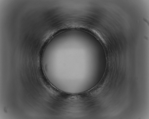 X0000091910447200709051215