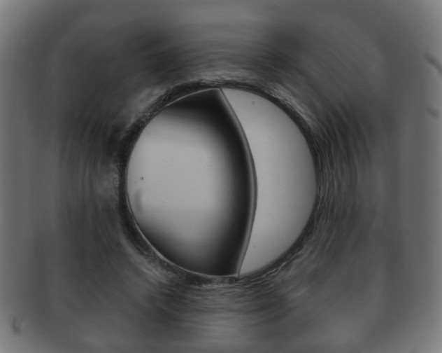 X0000091910448200709051215