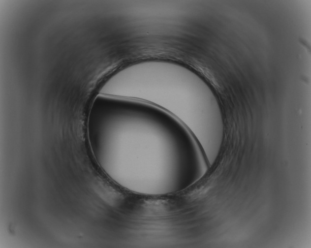 X0000091910450200709051215