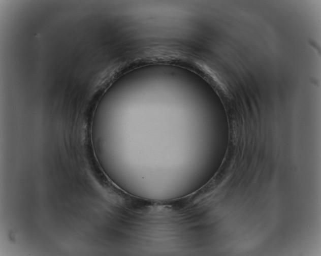 X0000091910451200709051215