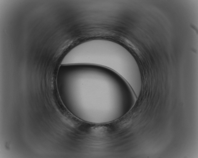 X0000091910452200709051215