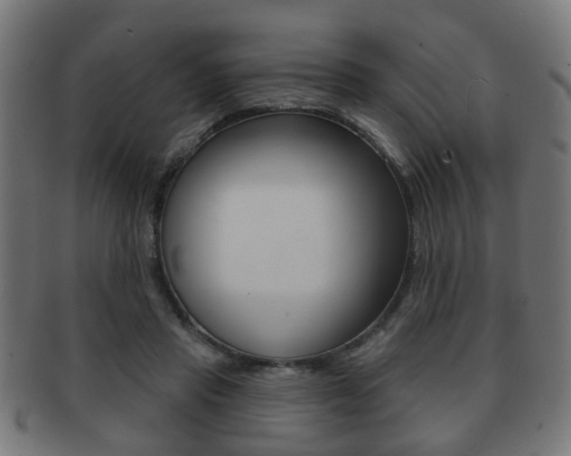 X0000091910453200709051215