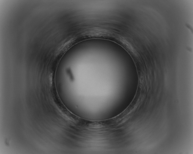 X0000091910454200709051215
