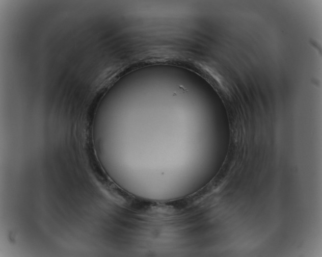 X0000091910455200709051215