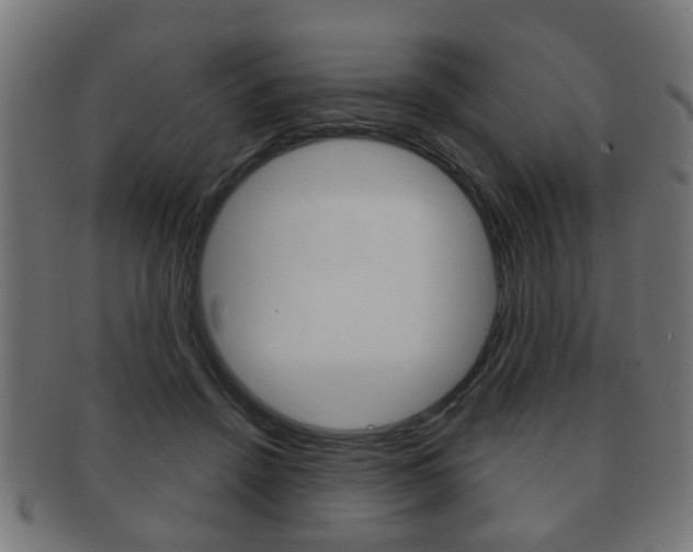 X0000091910456200709051215