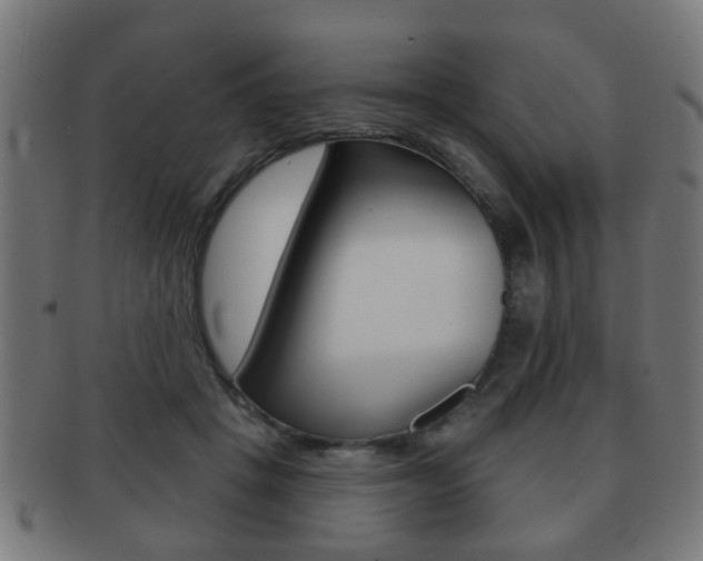 X0000091910457200709051215