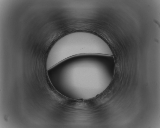 X0000091910458200709051215