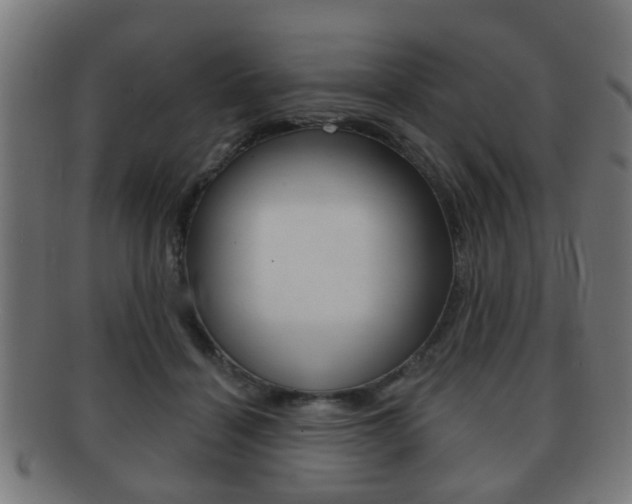 X0000091910460200709051215