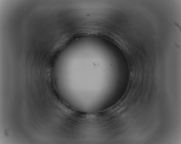 X0000091910462200709051215