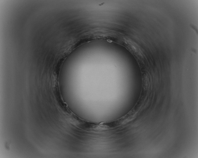 X0000091910463200709051215