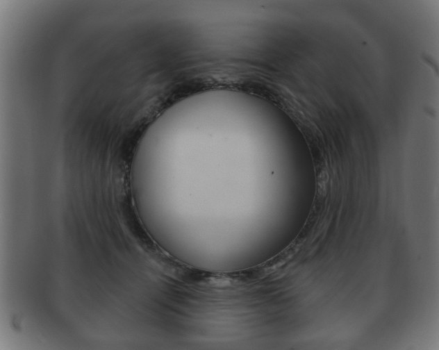 X0000091910464200709051215