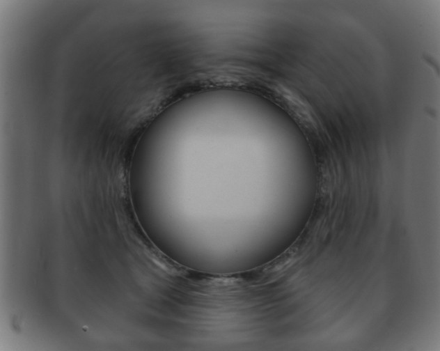 X0000091910465200709051215